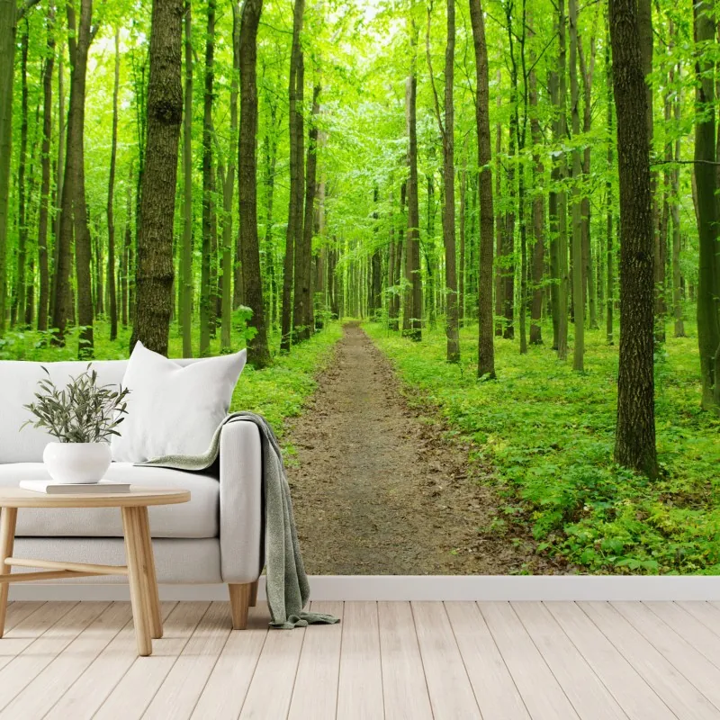 Fototapeta spokojna zielona ścieżka w lesie