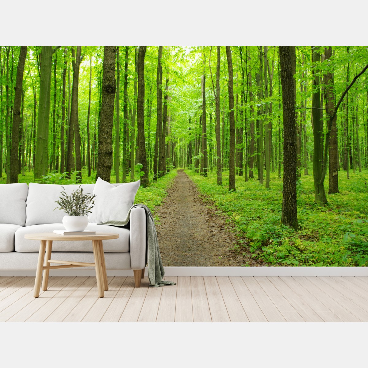 Wall mural serene green forest path