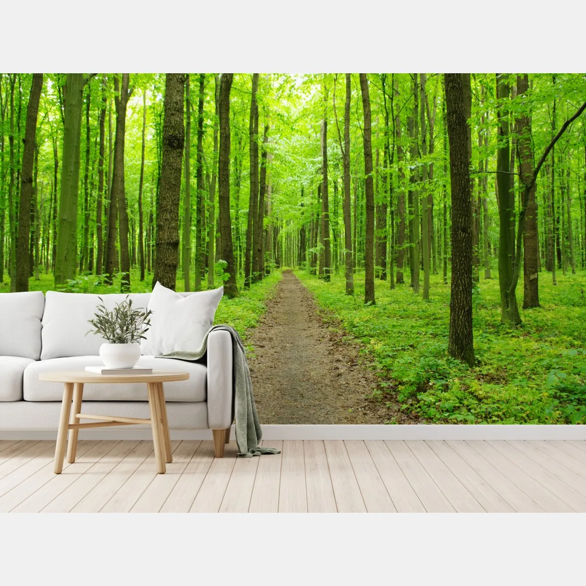 Fototapeta spokojna zielona ścieżka w lesie – Wallissimo® Fototapeta spokojna zielona ścieżka w lesie – Wallissimo®