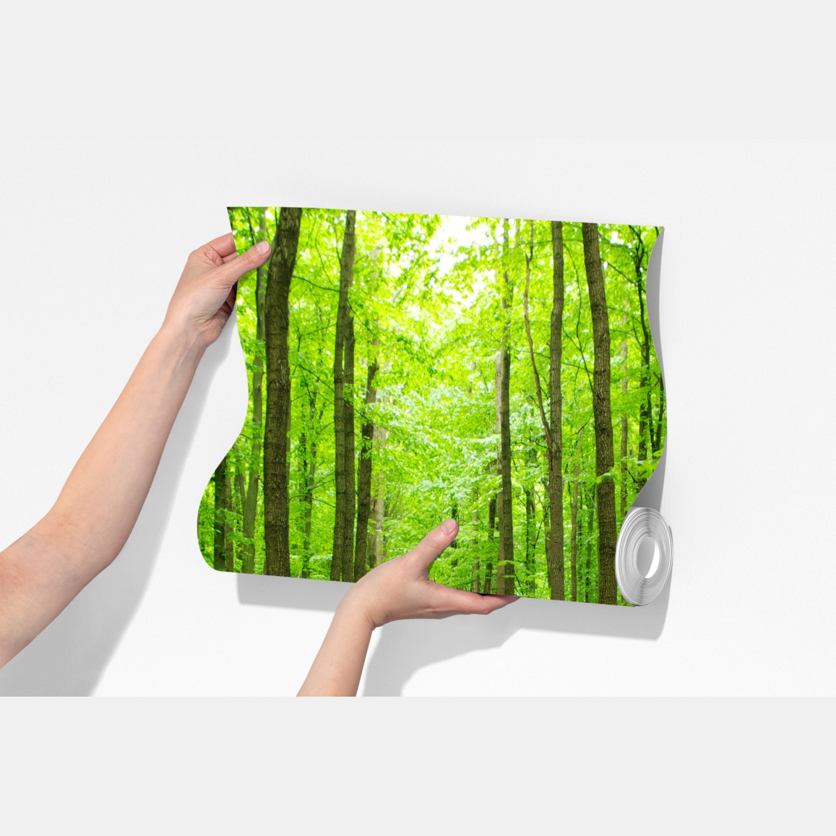 Fototapeta spokojna zielona ścieżka w lesie – Wallissimo® Fototapeta spokojna zielona ścieżka w lesie – Wallissimo®