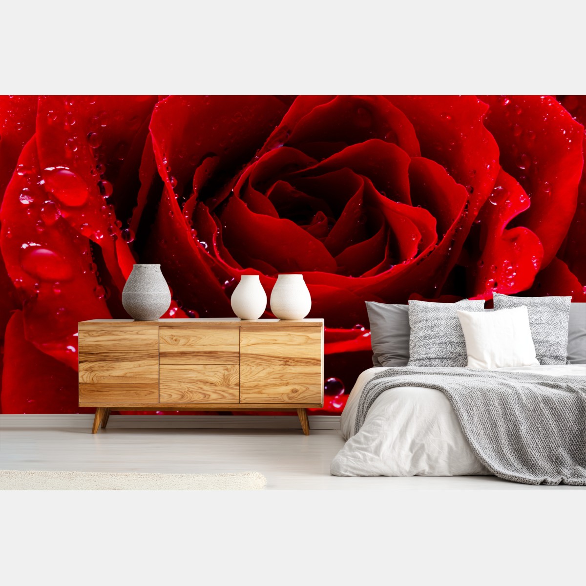 Wall mural vibrant red rose close-up