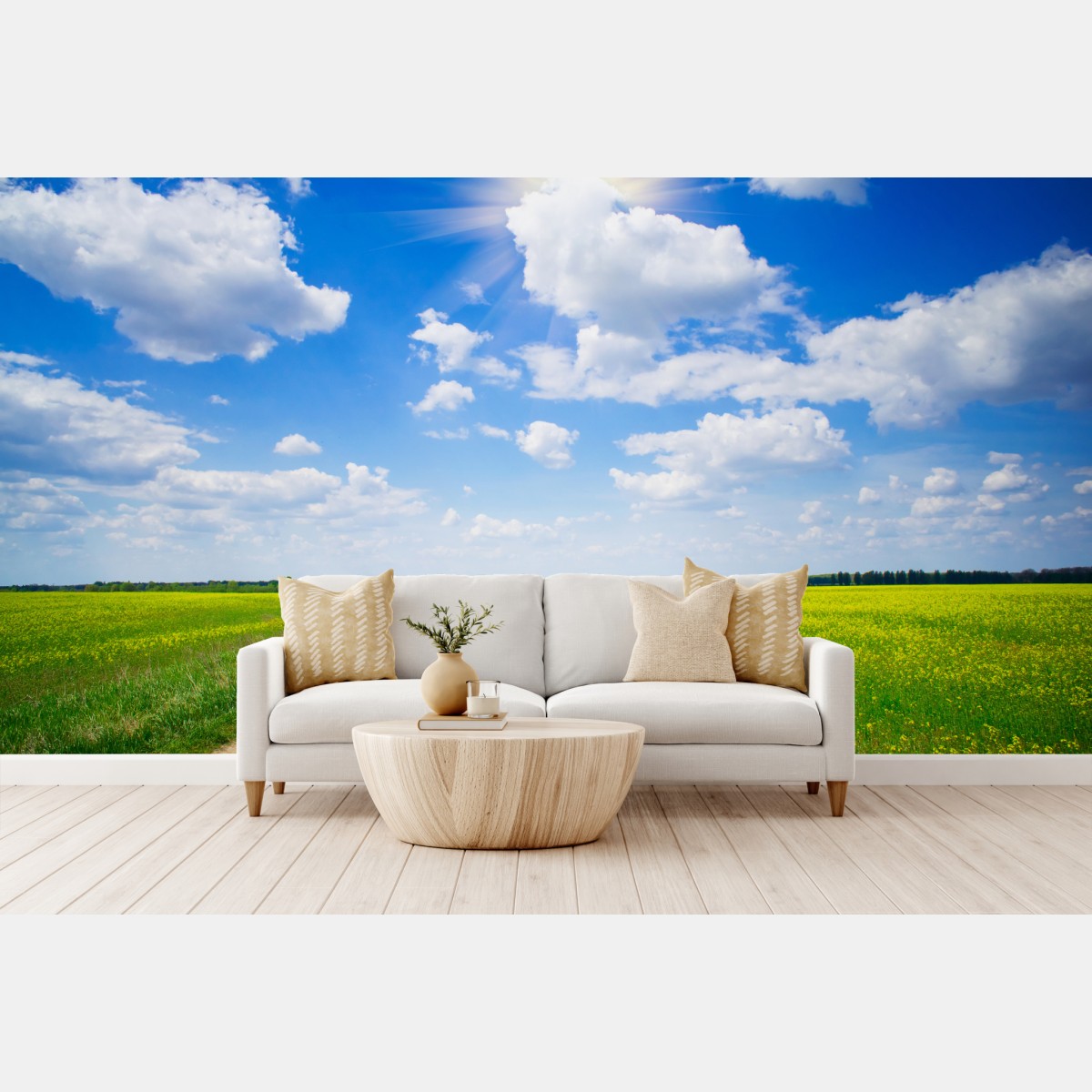 Wall mural yellow rapeseed field under a blue sky