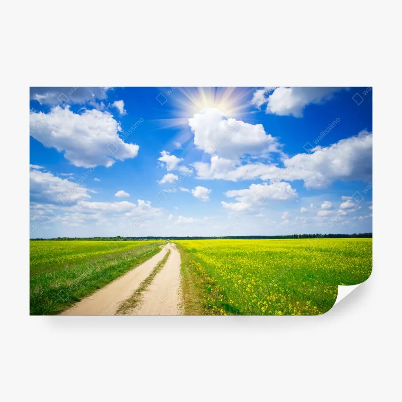 Fototapeta czarny geometryczny wzór z kół i półkół – Wallissimo®