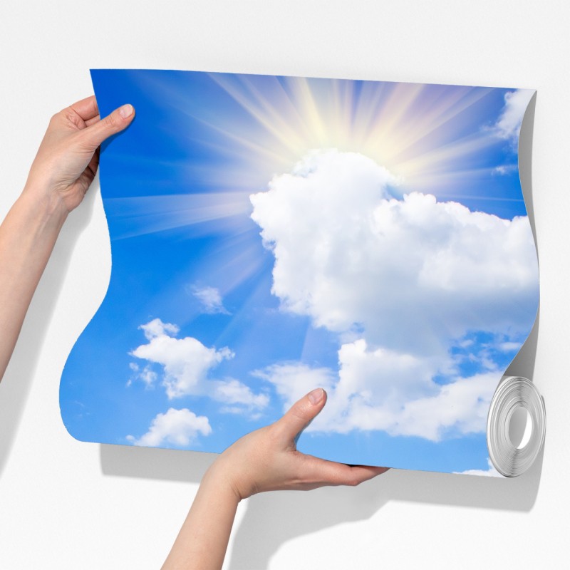 Fototapeta żółte pole rzepaku pod błękitnym niebem – Wallissimo® Fototapeta żółte pole rzepaku pod błękitnym niebem – Wallissimo®