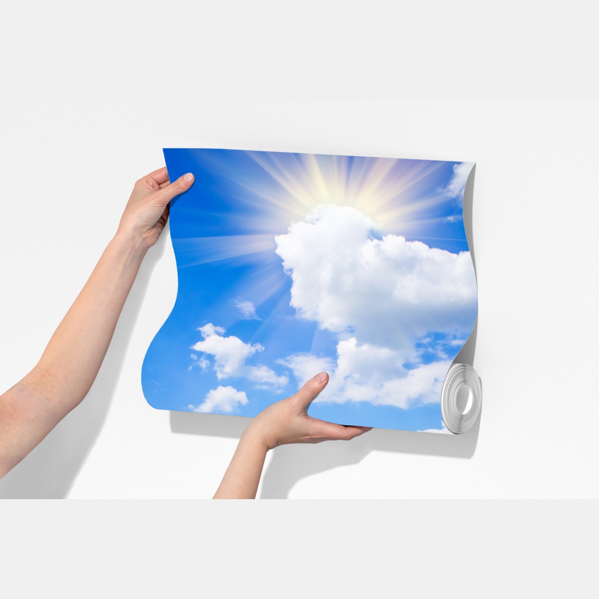 Fototapeta żółte pole rzepaku pod błękitnym niebem – Wallissimo® Fototapeta żółte pole rzepaku pod błękitnym niebem – Wallissimo®