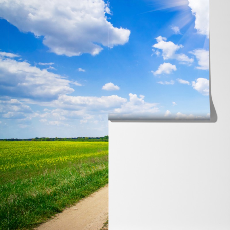 Fototapeta żółte pole rzepaku pod błękitnym niebem – Wallissimo® Fototapeta żółte pole rzepaku pod błękitnym niebem – Wallissimo®