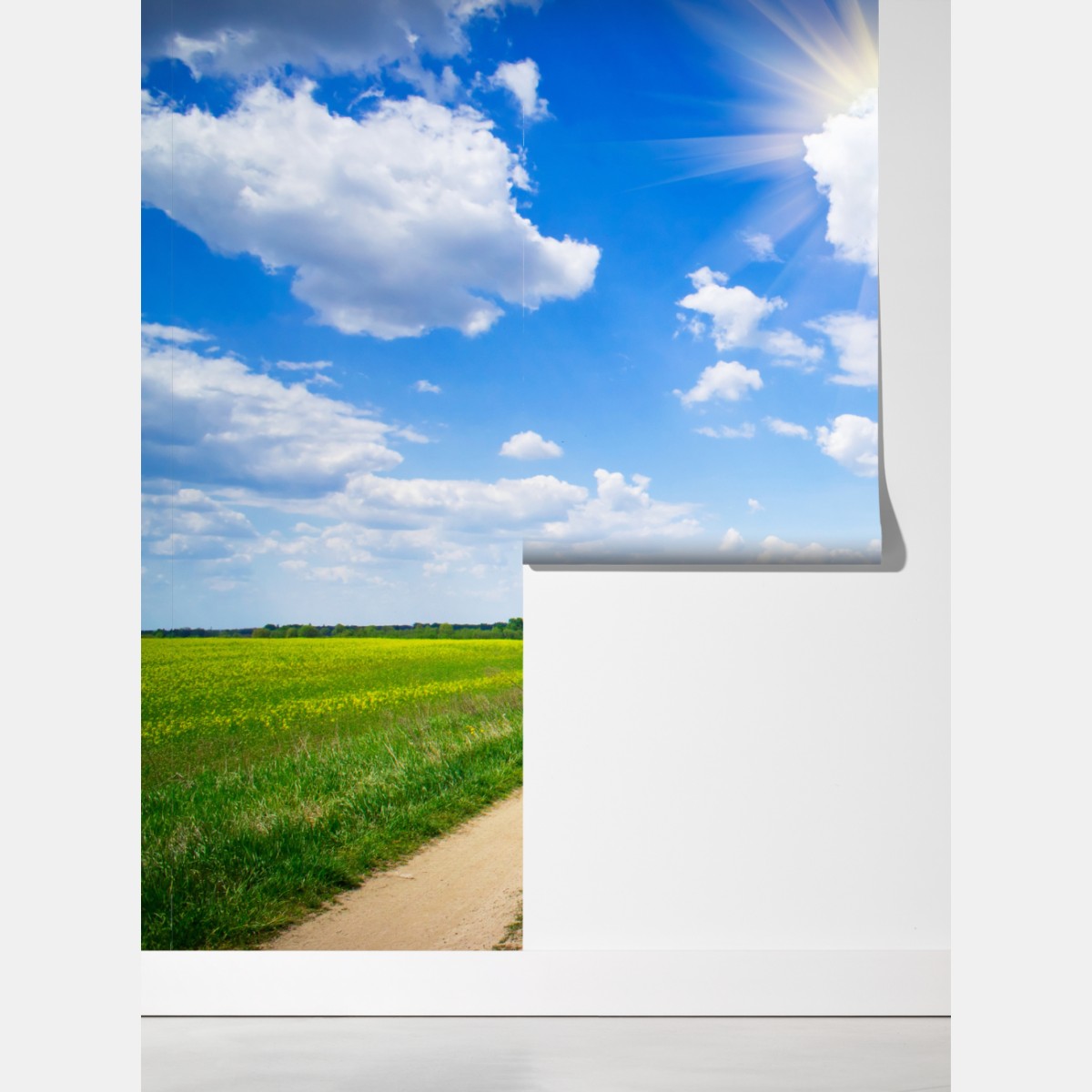 Fototapeta żółte pole rzepaku pod błękitnym niebem – Wallissimo® Fototapeta żółte pole rzepaku pod błękitnym niebem – Wallissimo®