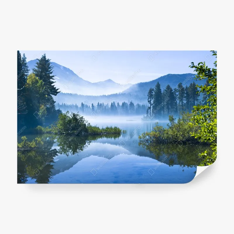 Fototapeta mglisty górski las – Wallissimo®