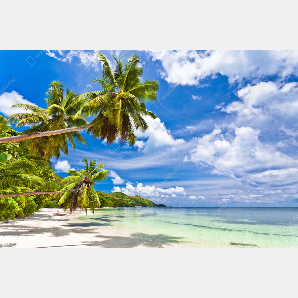 Fototapeta tropikalna plaża z palmami – Wallissimo® Fototapeta tropikalna plaża z palmami – Wallissimo®