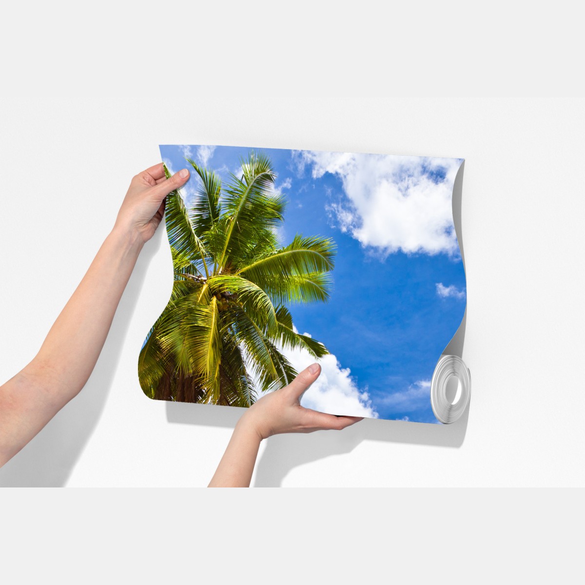 Fototapeta tropikalna plaża z palmami – Wallissimo® Fototapeta tropikalna plaża z palmami – Wallissimo®