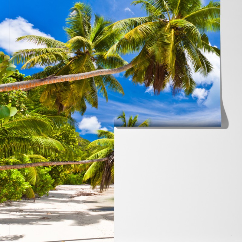 Fototapeta tropikalna plaża z palmami – Wallissimo® Fototapeta tropikalna plaża z palmami – Wallissimo®
