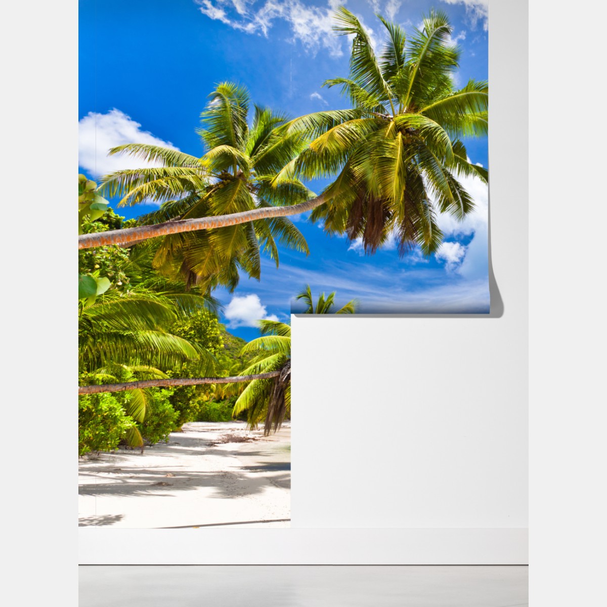 Fototapeta tropikalna plaża z palmami – Wallissimo® Fototapeta tropikalna plaża z palmami – Wallissimo®