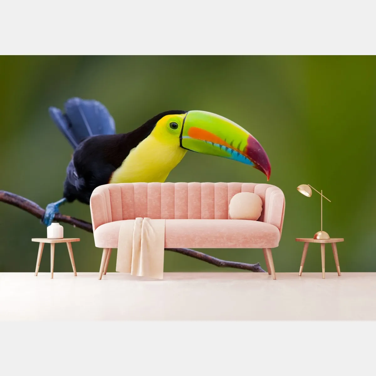 Fototapeta żywy portret tukana – Wallissimo® Fototapeta żywy portret tukana – Wallissimo®