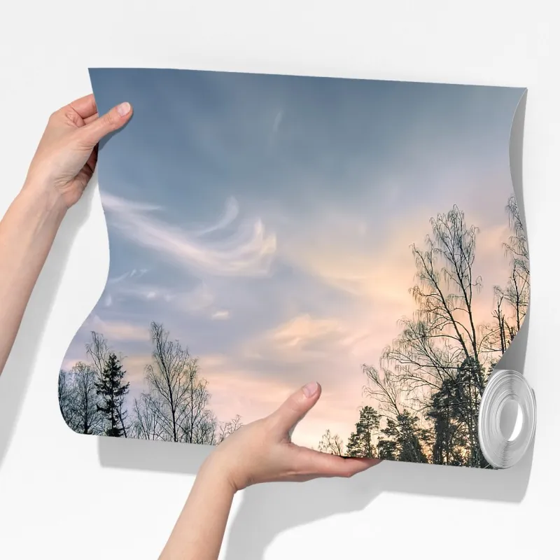 Fototapeta zamarznięte jezioro o świcie z leśnym odbiciem – Wallissimo® Fototapeta zamarznięte jezioro o świcie z leśnym odbiciem – Wallissimo®