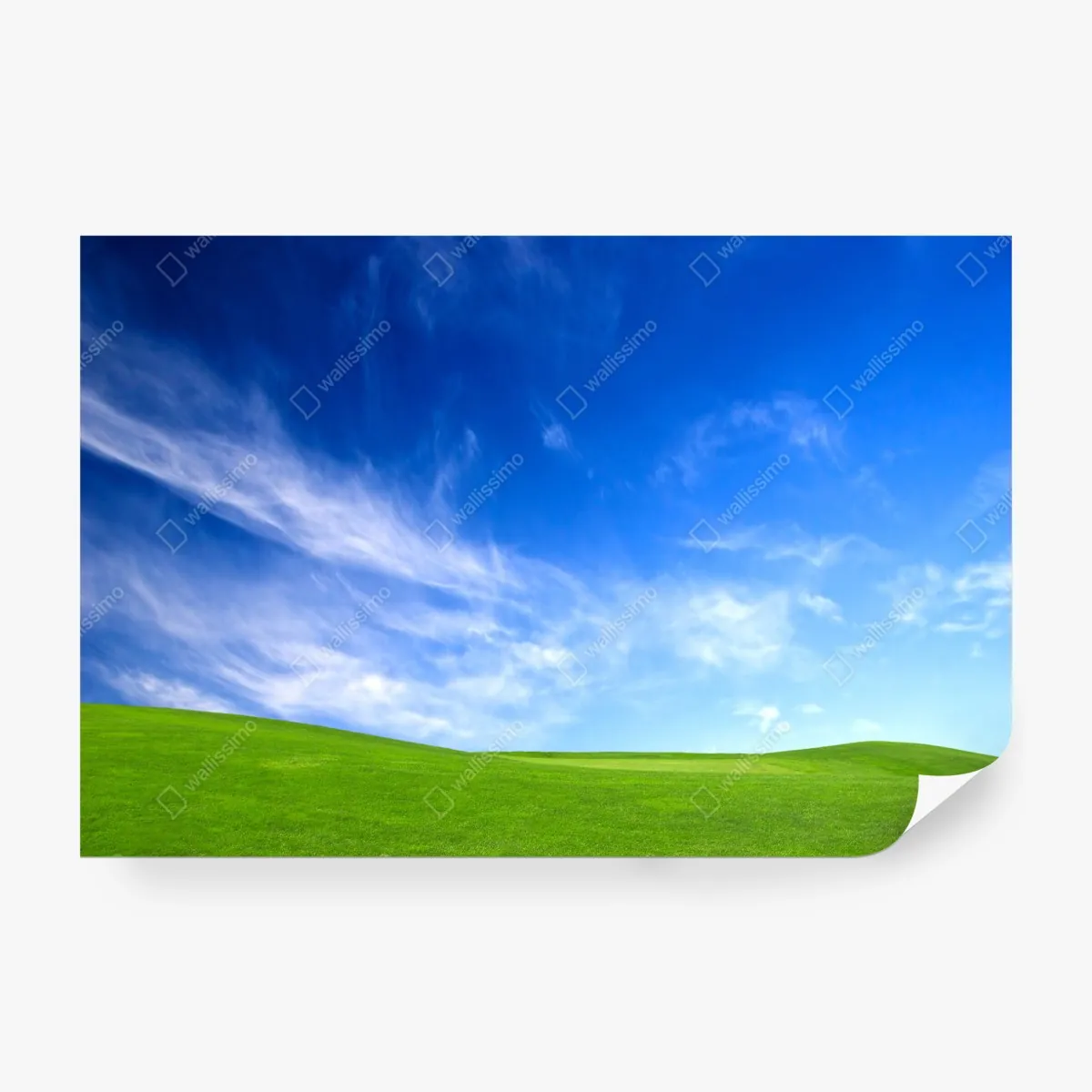 Fototapeta słoneczna zielona łąka pod niebieskim niebem – Wallissimo® Fototapeta słoneczna zielona łąka pod niebieskim niebem – Wallissimo®