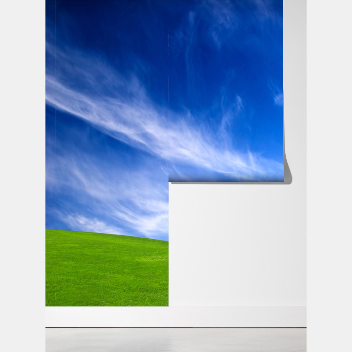 Fototapeta słoneczna zielona łąka pod niebieskim niebem – Wallissimo® Fototapeta słoneczna zielona łąka pod niebieskim niebem – Wallissimo®