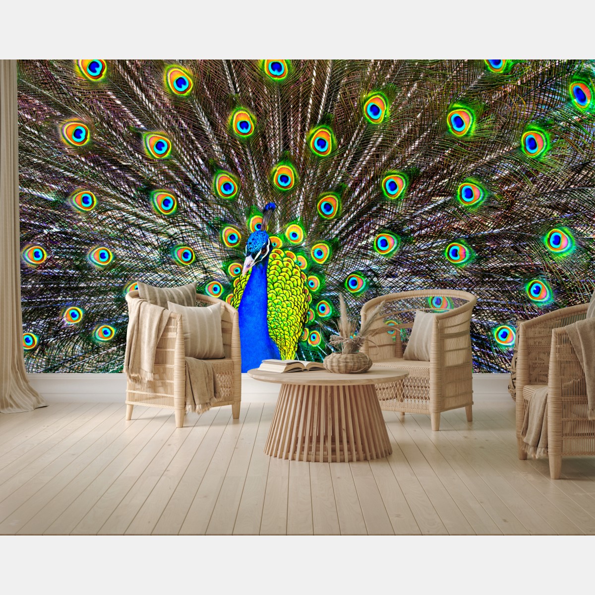 Wall mural vibrant peacock feather display