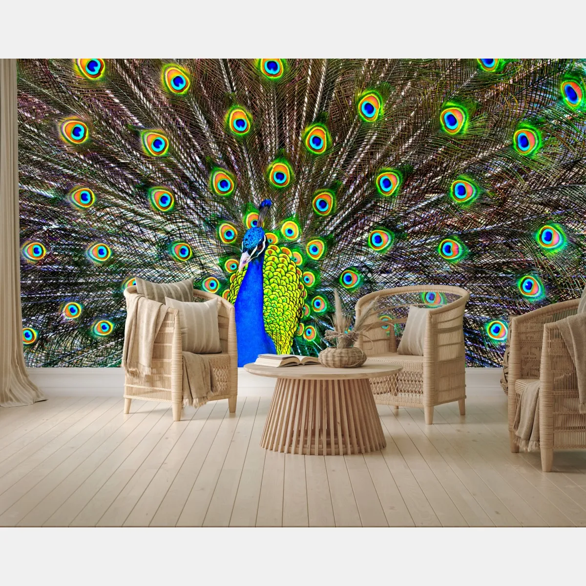 Fototapeta żywy wachlarz pawich piór – Wallissimo® Fototapeta żywy wachlarz pawich piór – Wallissimo®