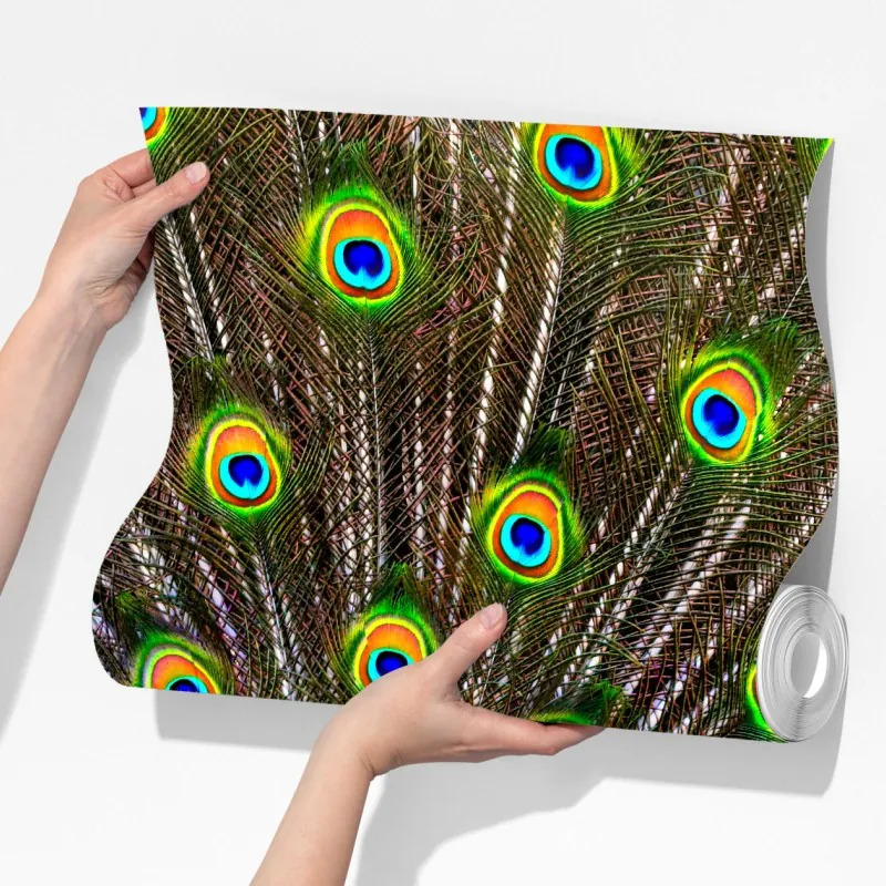 Fototapeta żywy wachlarz pawich piór – Wallissimo® Fototapeta żywy wachlarz pawich piór – Wallissimo®