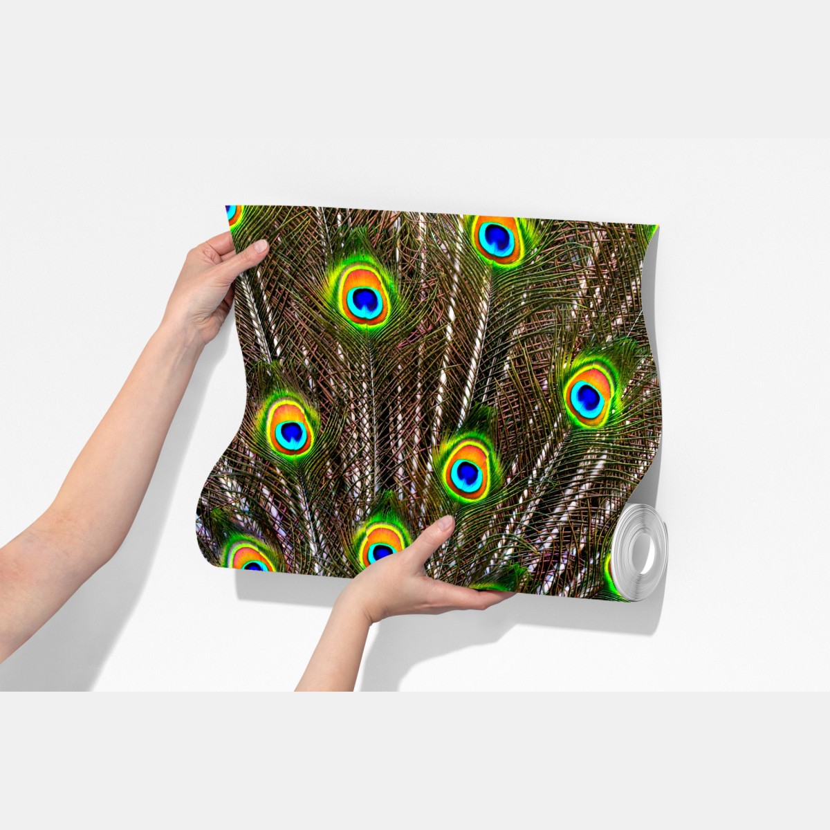 Fototapeta żywy wachlarz pawich piór – Wallissimo® Fototapeta żywy wachlarz pawich piór – Wallissimo®