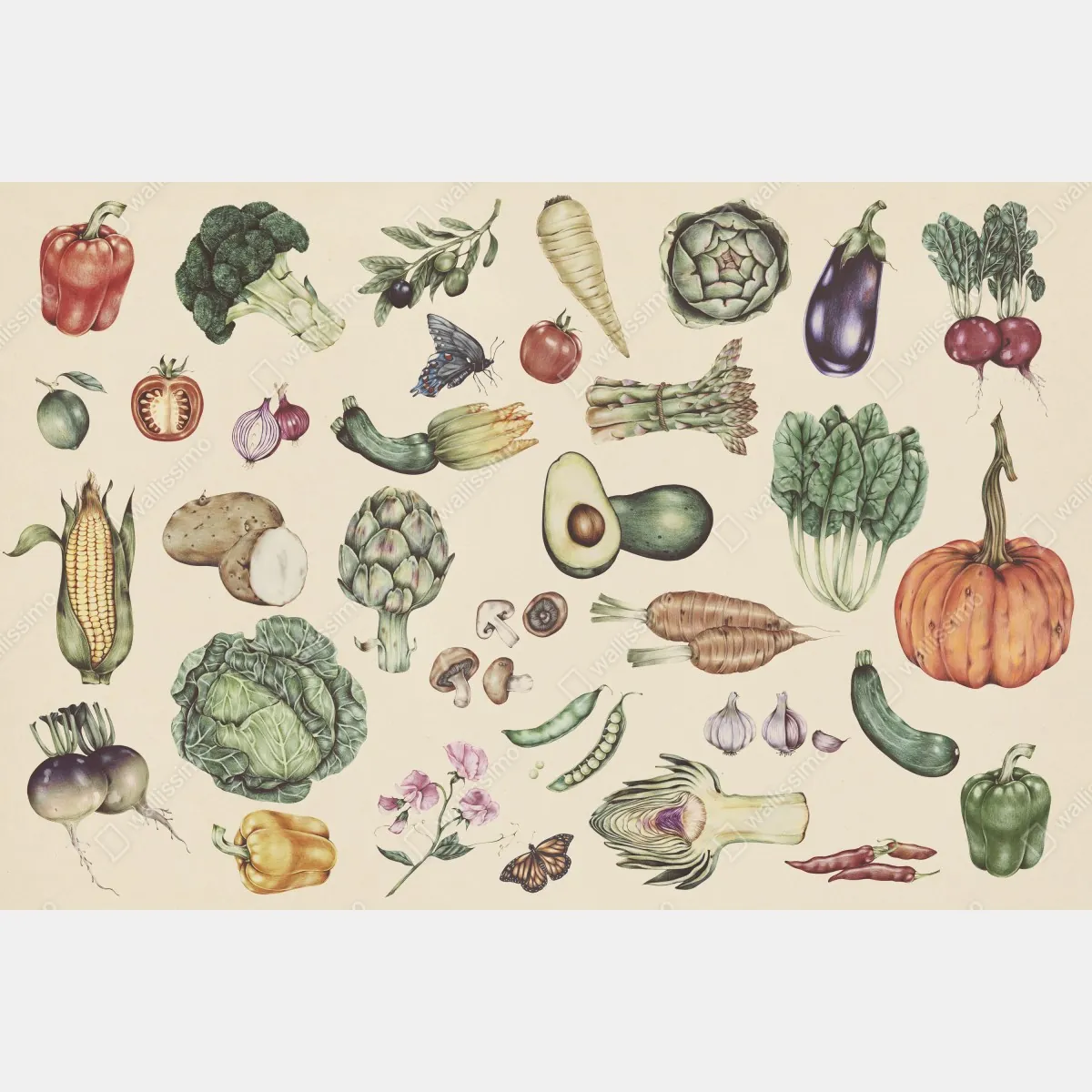 Fototapeta ręcznie rysowany botaniczny wzór warzyw – Wallissimo® Fototapeta ręcznie rysowany botaniczny wzór warzyw – Wallissimo®