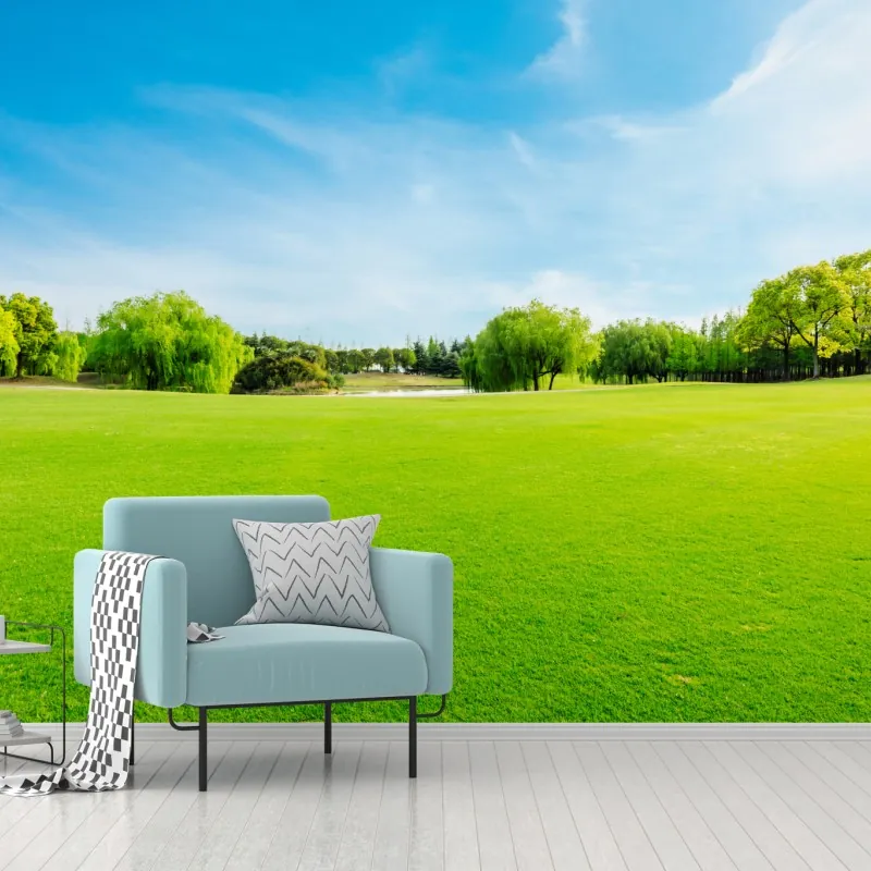 Fototapeta spokojna zielona łąka pod błękitnym niebem