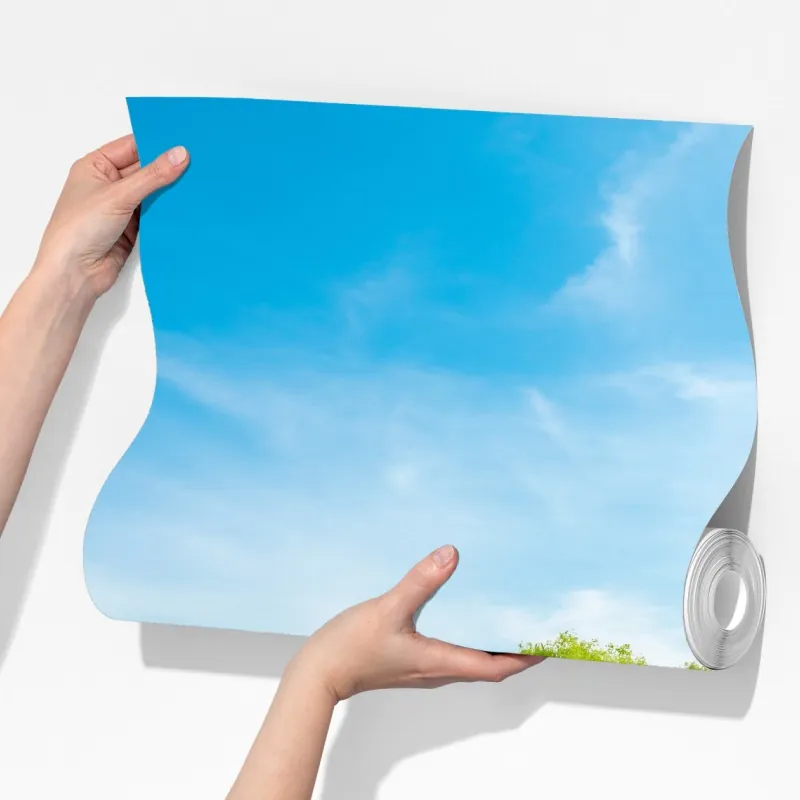 Fototapeta spokojna zielona łąka pod błękitnym niebem – Wallissimo® Fototapeta spokojna zielona łąka pod błękitnym niebem – Wallissimo®