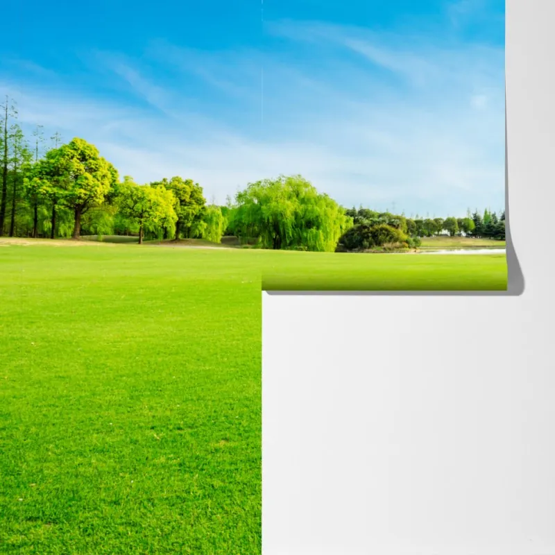 Fototapeta spokojna zielona łąka pod błękitnym niebem – Wallissimo® Fototapeta spokojna zielona łąka pod błękitnym niebem – Wallissimo®