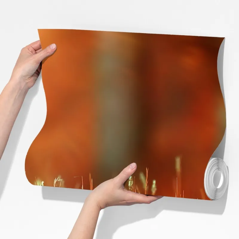 Fototapeta motyl na złotej łące – Wallissimo® Fototapeta motyl na złotej łące – Wallissimo®