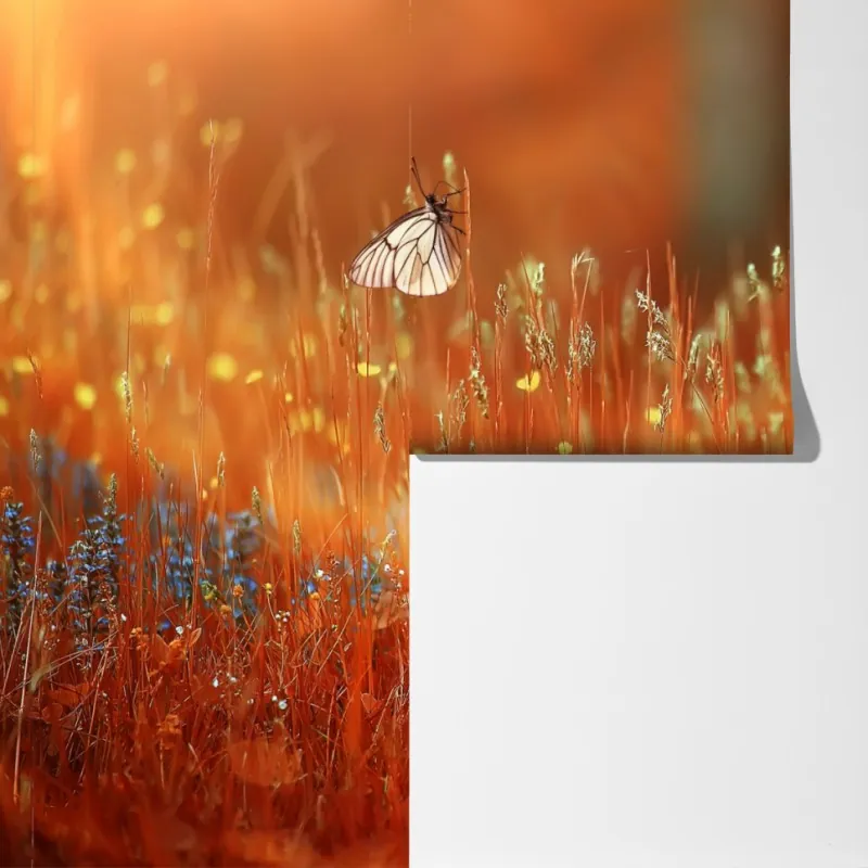 Fototapeta motyl na złotej łące – Wallissimo® Fototapeta motyl na złotej łące – Wallissimo®