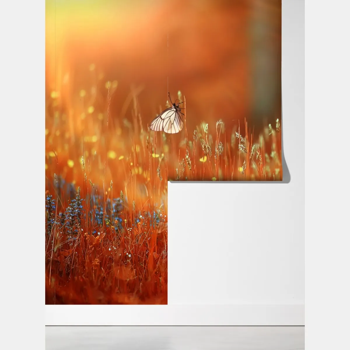 Fototapeta motyl na złotej łące – Wallissimo® Fototapeta motyl na złotej łące – Wallissimo®