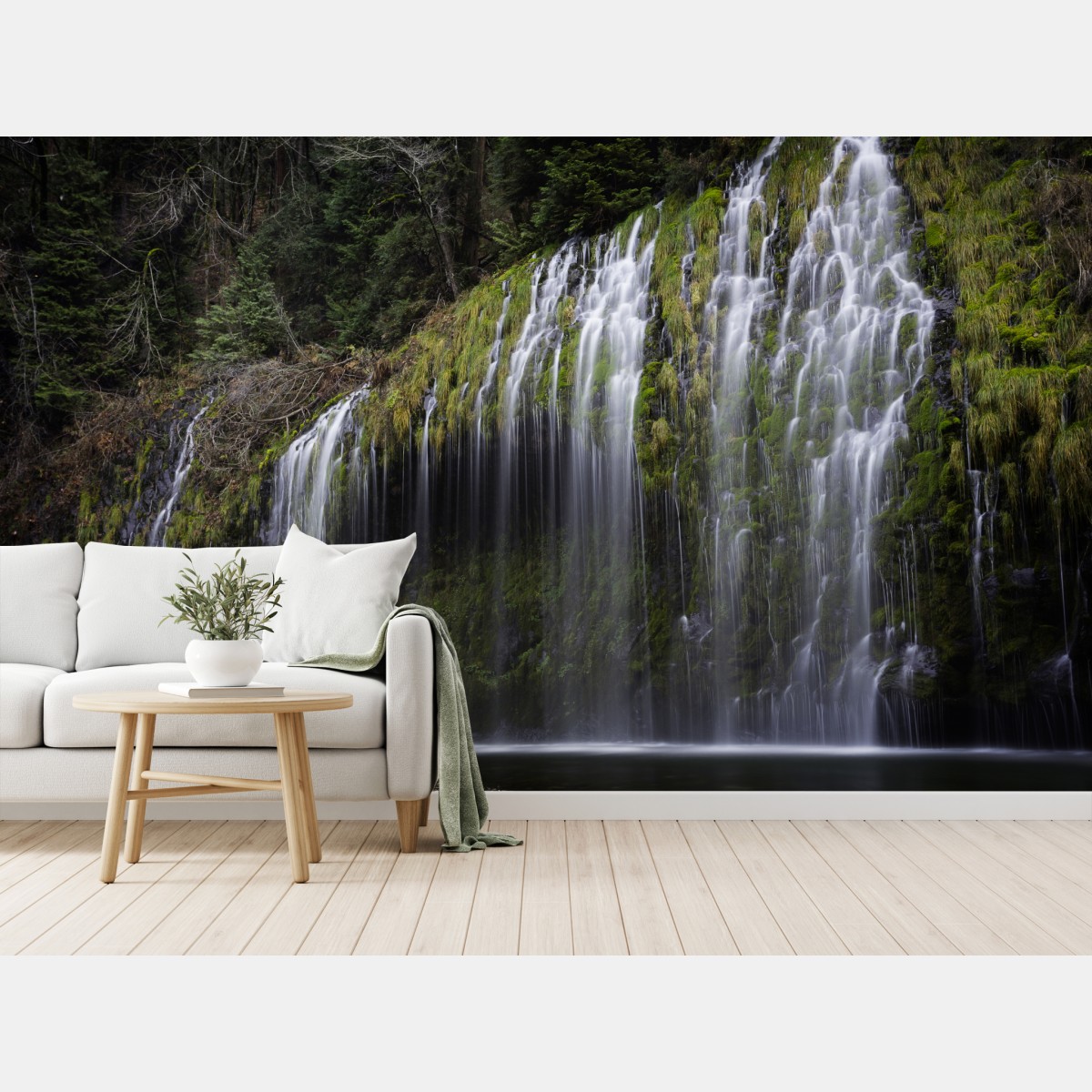 Wall mural mossy waterfall in forest
