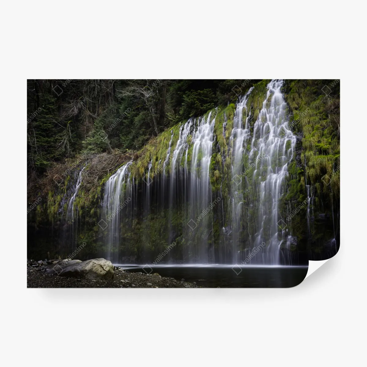 Fototapeta wodospad porośnięty mchem w lesie – Wallissimo® Fototapeta wodospad porośnięty mchem w lesie – Wallissimo®