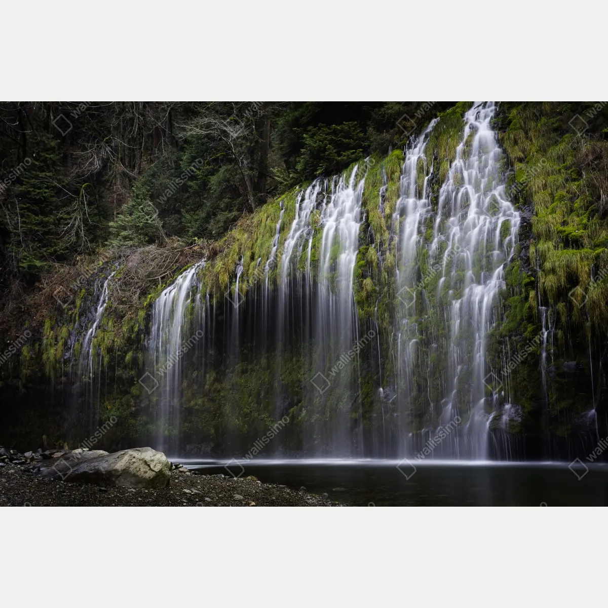 Fototapeta wodospad porośnięty mchem w lesie – Wallissimo® Fototapeta wodospad porośnięty mchem w lesie – Wallissimo®