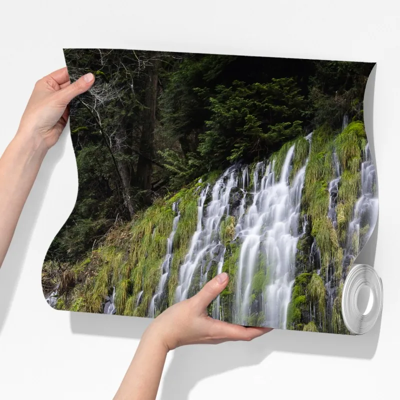 Fototapeta wodospad porośnięty mchem w lesie – Wallissimo® Fototapeta wodospad porośnięty mchem w lesie – Wallissimo®