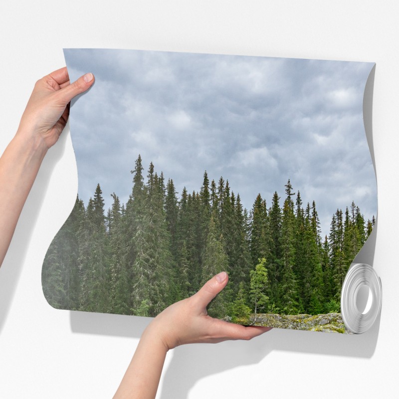 Fototapeta mglisty wodospad w bujnym sosnowym lesie – Wallissimo® Fototapeta mglisty wodospad w bujnym sosnowym lesie – Wallissimo®