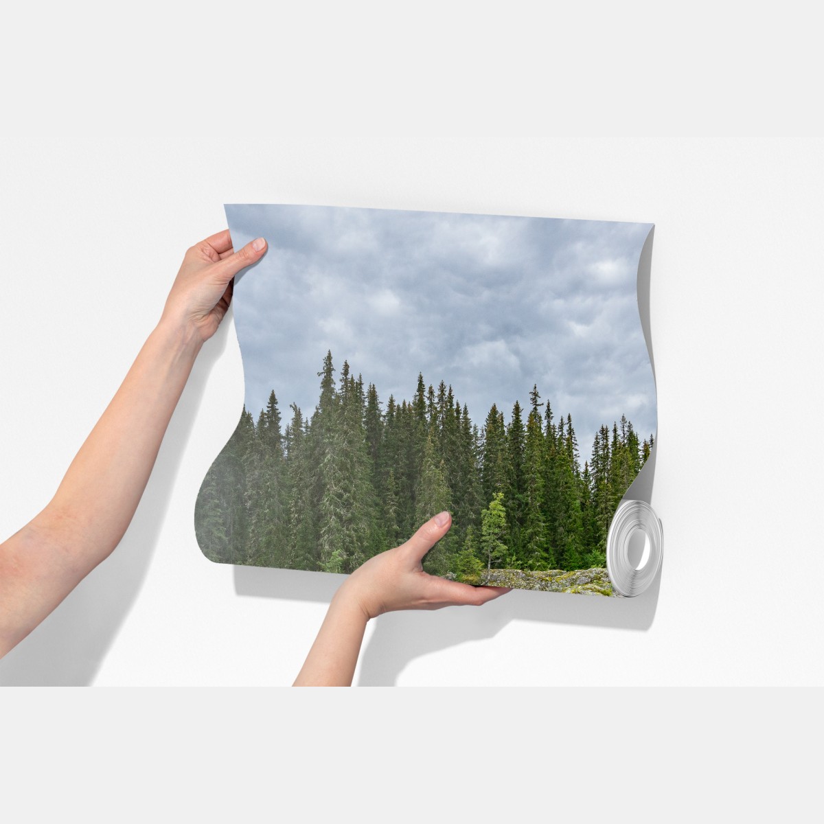 Fototapeta mglisty wodospad w bujnym sosnowym lesie – Wallissimo® Fototapeta mglisty wodospad w bujnym sosnowym lesie – Wallissimo®