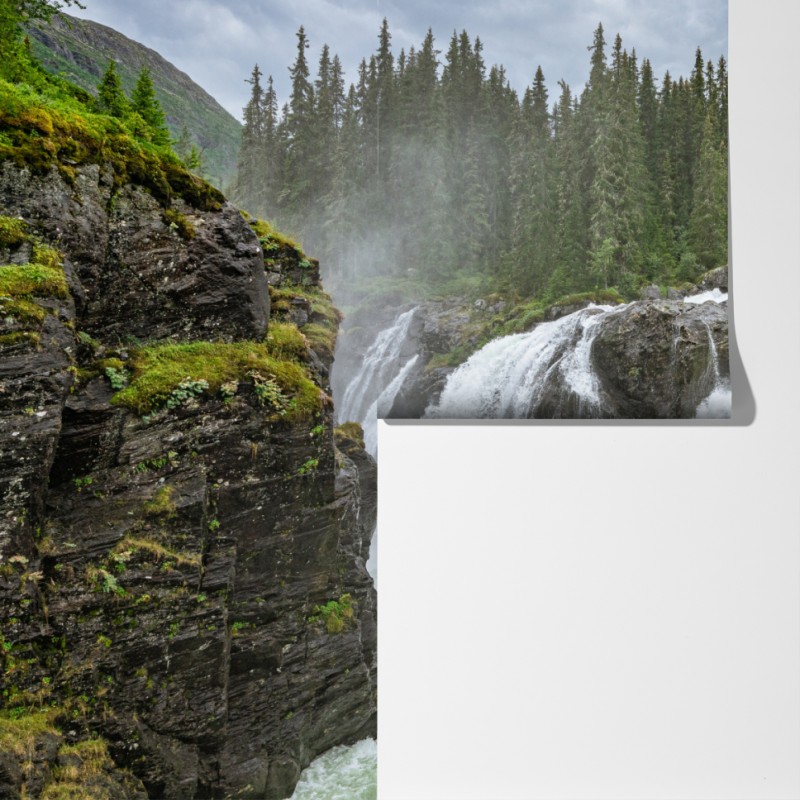 Fototapeta mglisty wodospad w bujnym sosnowym lesie – Wallissimo® Fototapeta mglisty wodospad w bujnym sosnowym lesie – Wallissimo®