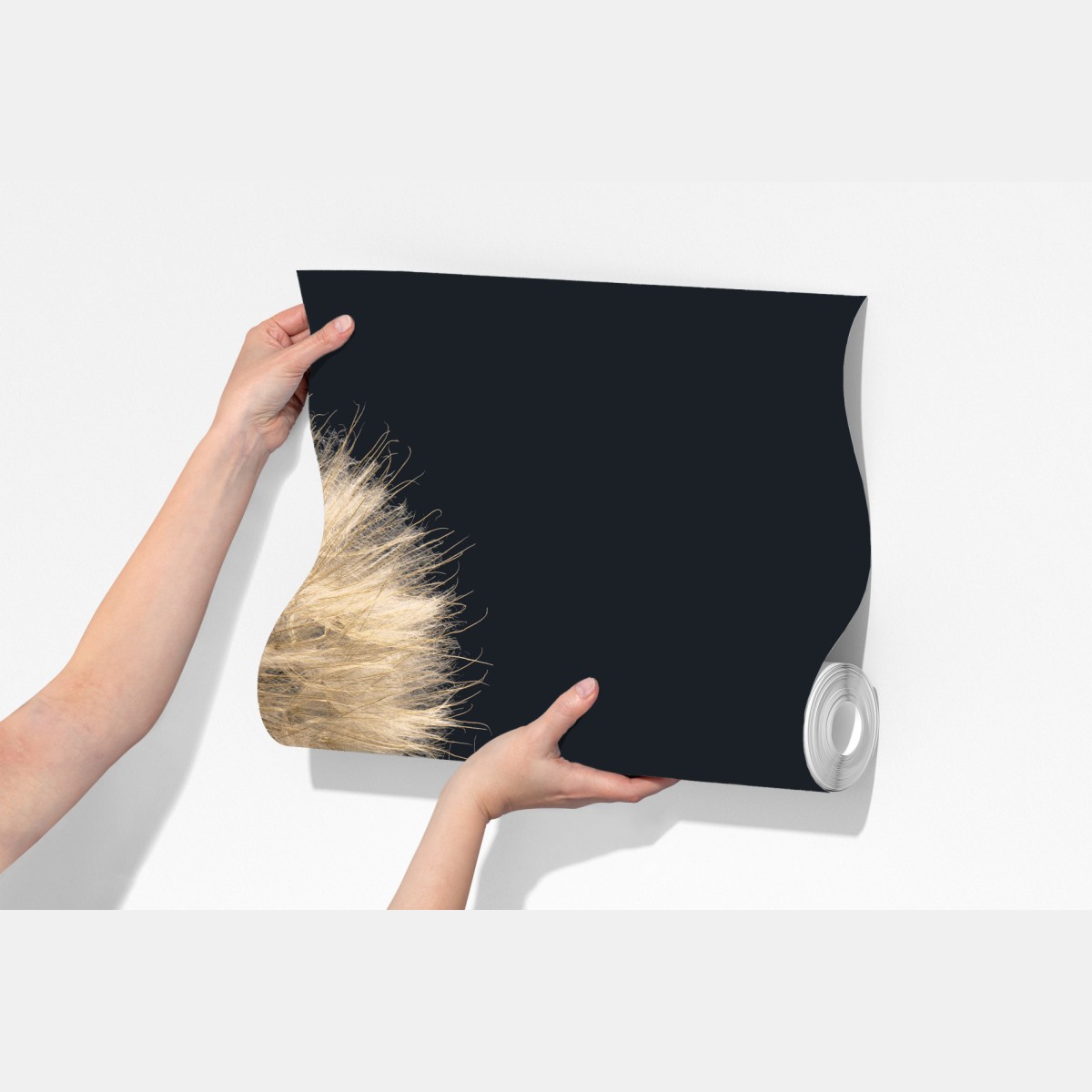 Fototapeta delikatny dmuchawiec na ciemnym tle – Wallissimo® Fototapeta delikatny dmuchawiec na ciemnym tle – Wallissimo®