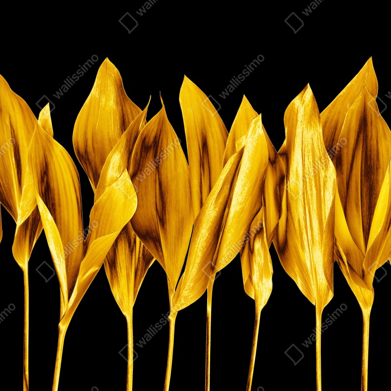 Fototapeta złote liście na czarnym tle – Wallissimo® Fototapeta złote liście na czarnym tle – Wallissimo®