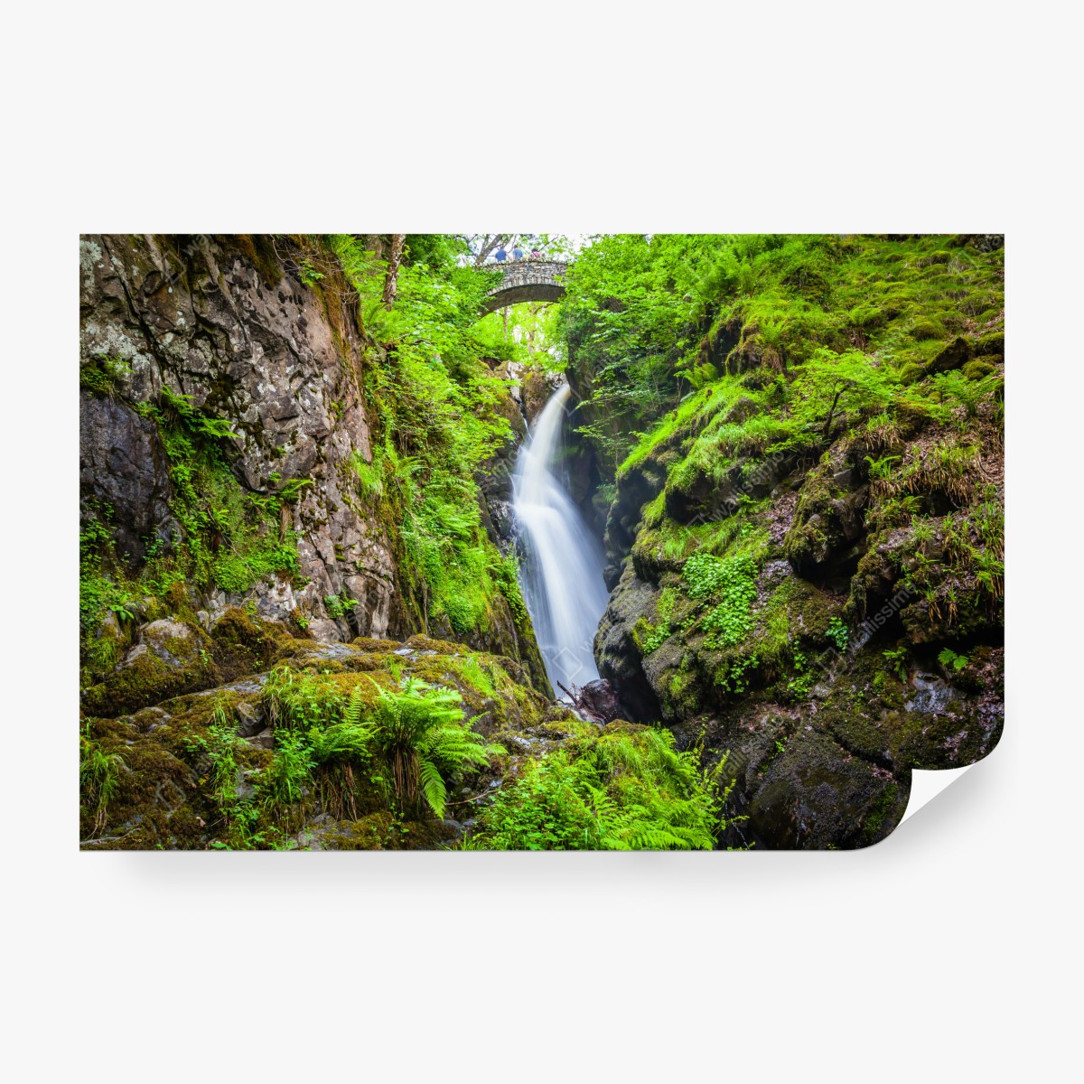 Fototapeta wodospad w mchem porośniętym wąwozie z kamiennym mostem – Wallissimo® Fototapeta wodospad w mchem porośniętym wąwozie z kamiennym mostem – Wallissimo®