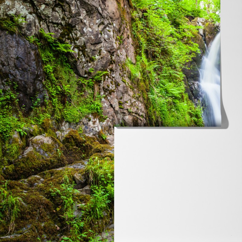 Fototapeta wodospad w mchem porośniętym wąwozie z kamiennym mostem – Wallissimo® Fototapeta wodospad w mchem porośniętym wąwozie z kamiennym mostem – Wallissimo®