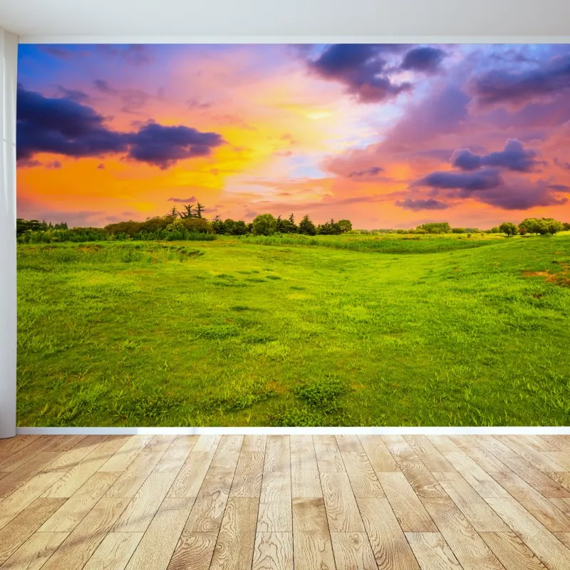 Fototapeta zachód słońca nad zieloną łąką