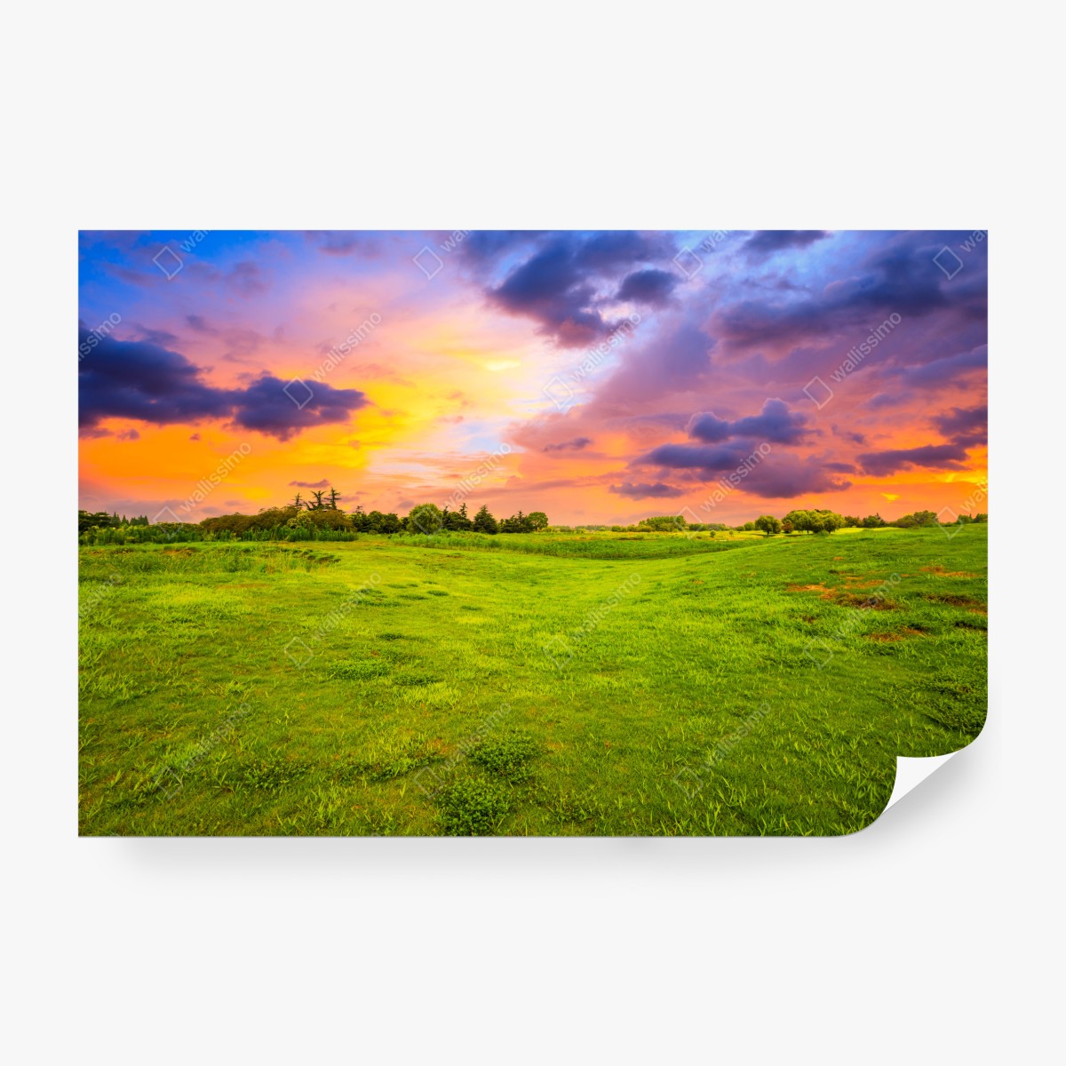 Fototapeta zachód słońca nad zieloną łąką – Wallissimo® Fototapeta zachód słońca nad zieloną łąką – Wallissimo®
