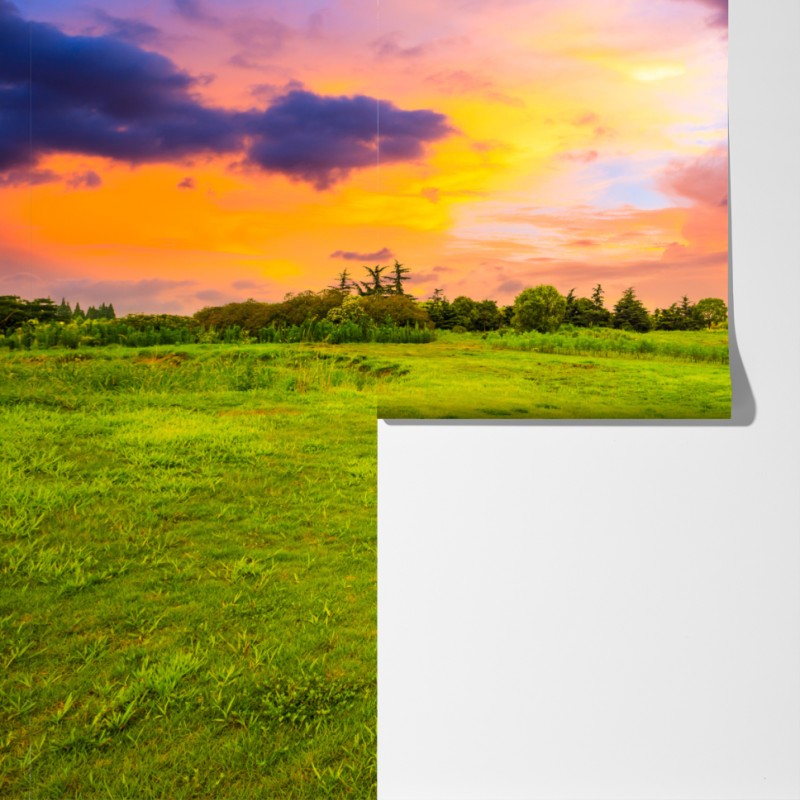 Fototapeta zachód słońca nad zieloną łąką – Wallissimo® Fototapeta zachód słońca nad zieloną łąką – Wallissimo®