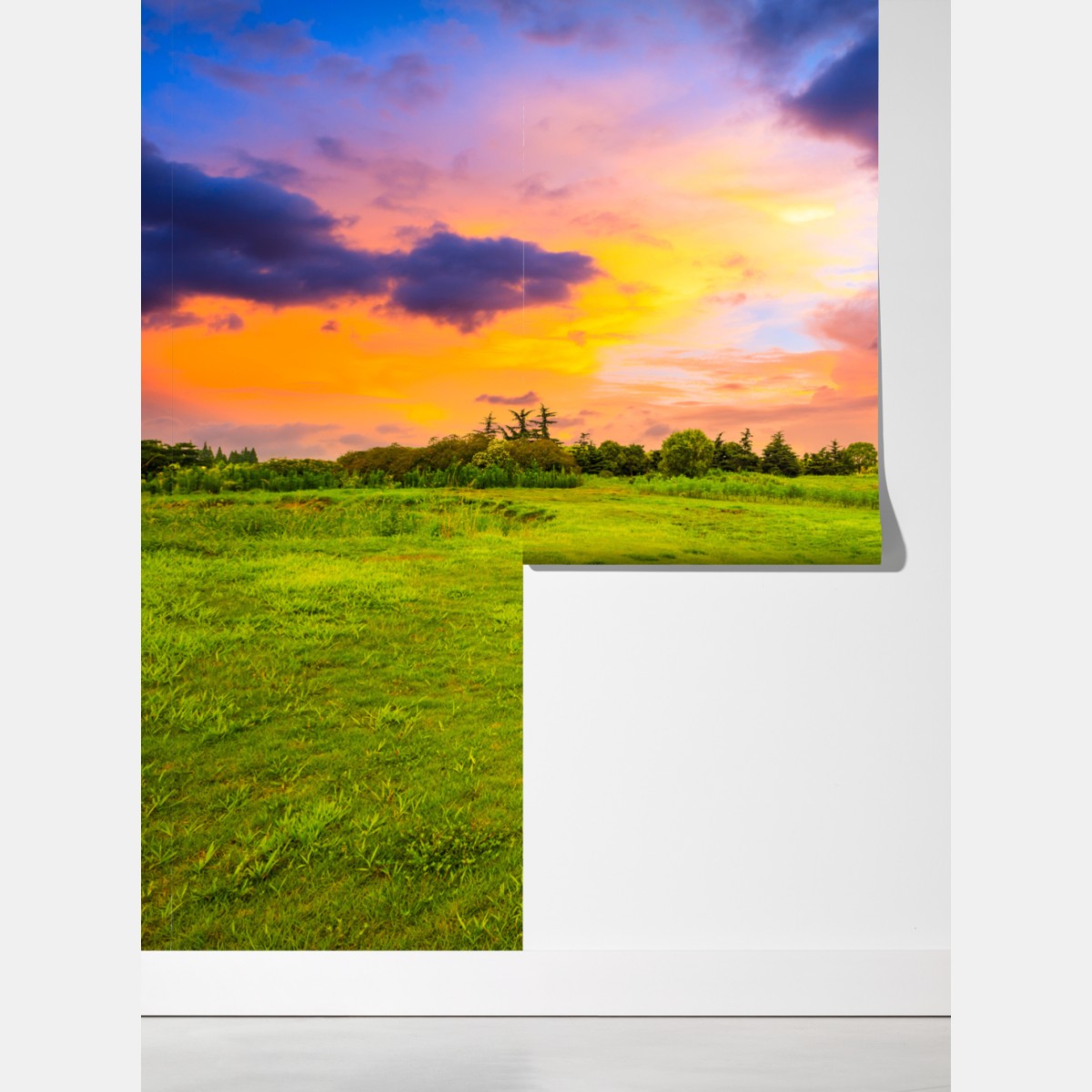 Fototapeta zachód słońca nad zieloną łąką – Wallissimo® Fototapeta zachód słońca nad zieloną łąką – Wallissimo®