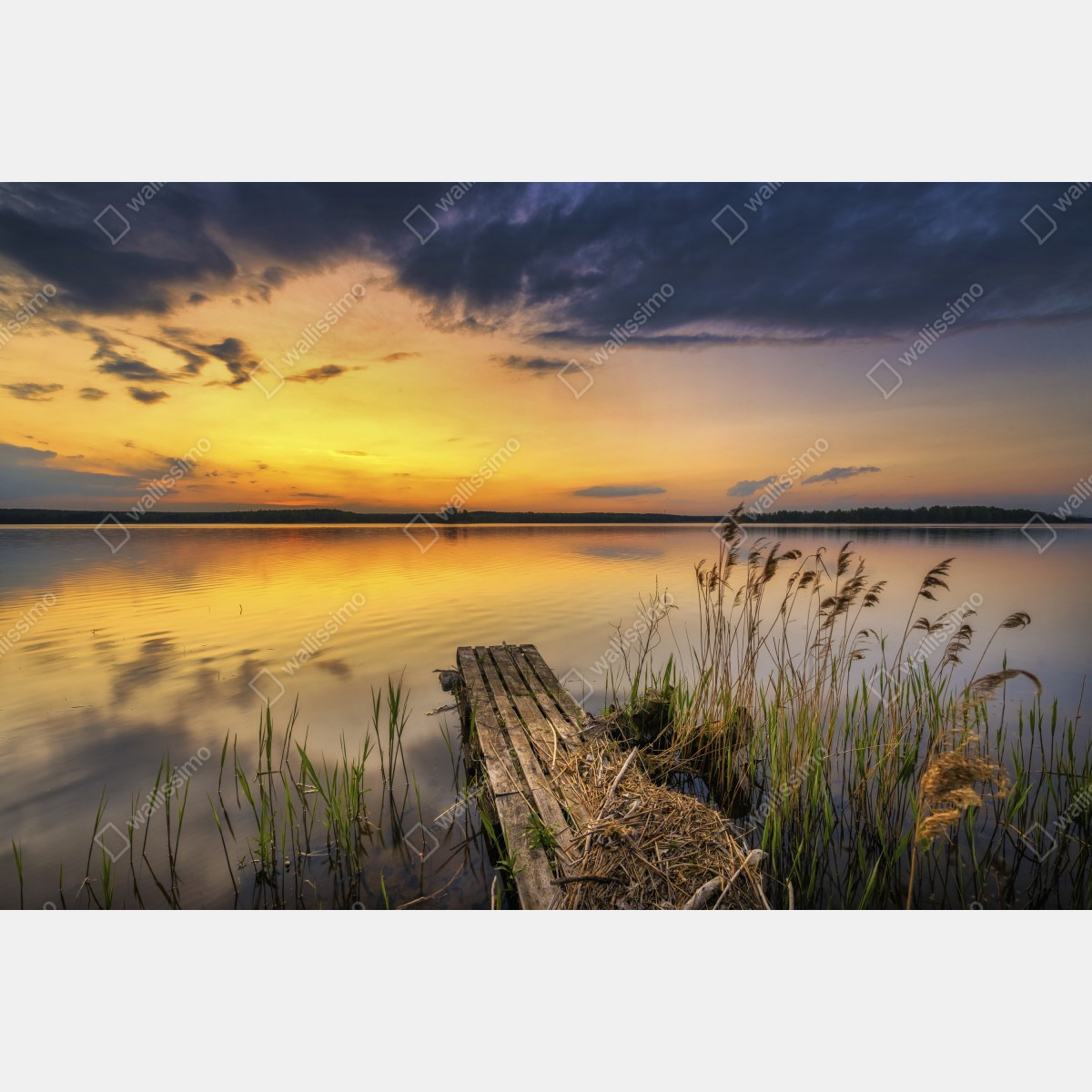 Fototapeta złoty zachód słońca nad jeziorem – Wallissimo® Fototapeta złoty zachód słońca nad jeziorem – Wallissimo®