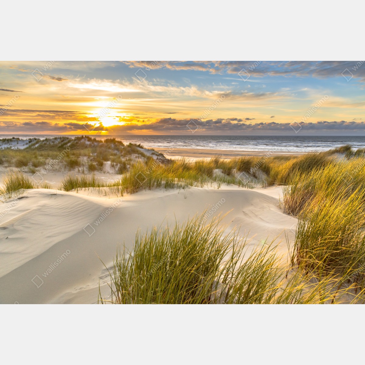 Fototapeta zachód słońca nad wydmami Ameland – Wallissimo® Fototapeta zachód słońca nad wydmami Ameland – Wallissimo®