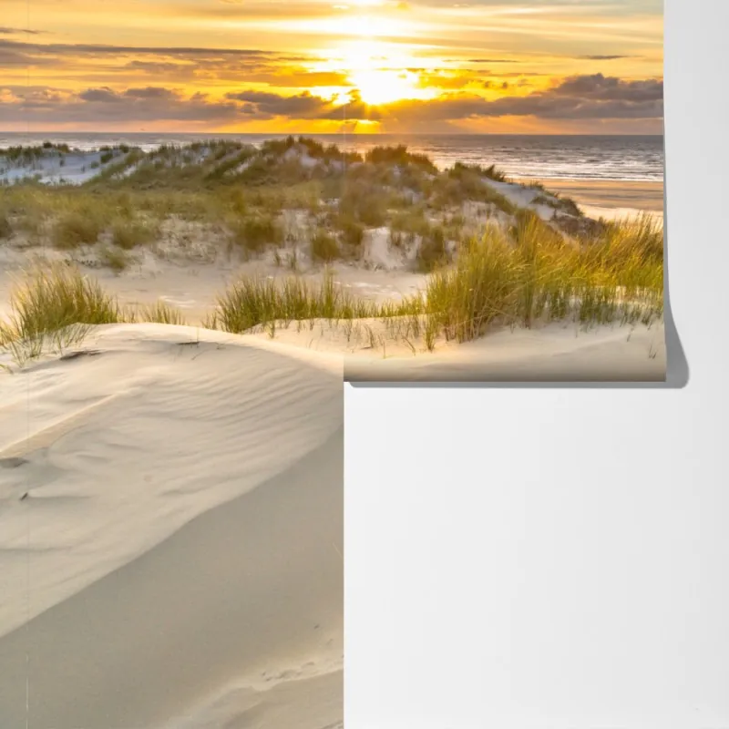 Fototapeta zachód słońca nad wydmami Ameland – Wallissimo® Fototapeta zachód słońca nad wydmami Ameland – Wallissimo®