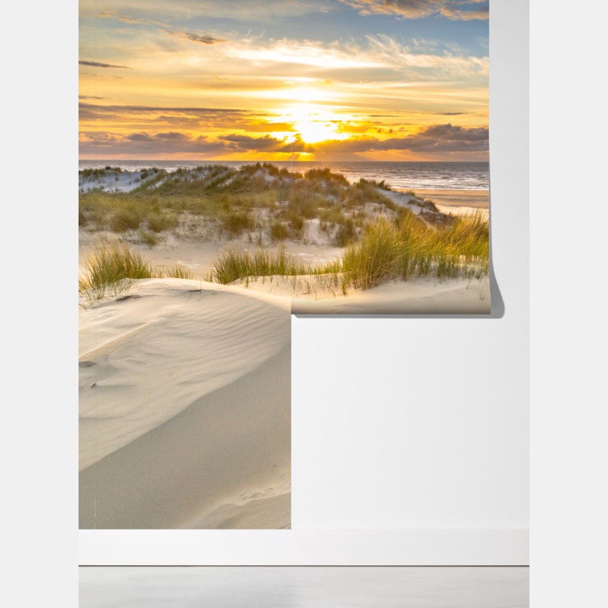 Fototapeta zachód słońca nad wydmami Ameland – Wallissimo® Fototapeta zachód słońca nad wydmami Ameland – Wallissimo®